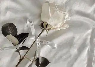 MASAKI KOKOROの眉毛・アイブロウイメージ