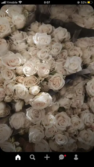 マツエク・マツパ .*･ﾟAmy .ﾟ･*.のマツエク・マツパデザイン