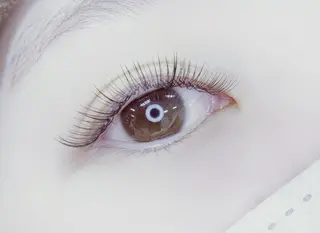 マツエク・マツパ MIGNON 当日予約のみのマツエク・マツパデザイン