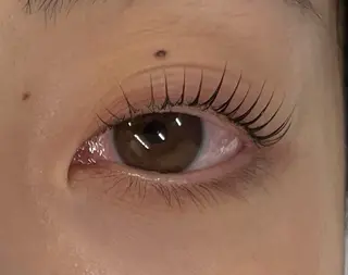 マツエク・マツパ 🌹 SUEMORIのマツエク・マツパデザイン