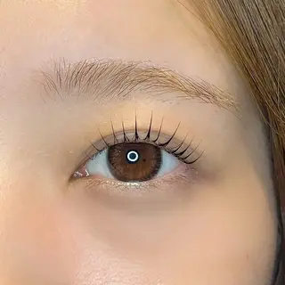 マツエク・マツパ ɴᴇʀᴏʟɪ ♡ ᴀʏᴀᴋᴀの眉毛・アイブロウイメージ