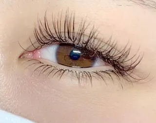 マツエク・マツパ eyelash salon Dollのマツエク・マツパデザイン