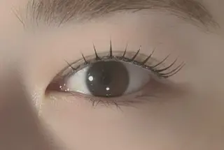 マツエク・マツパ マリーテレジア 🐨MIURAのマツエク・マツパデザイン