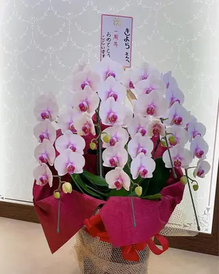 きよら ビューティーラウンジのエステ・リラクイメージ