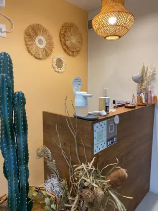 美眉無料モデル 募集中🌟ナカガマの眉毛・アイブロウイメージ