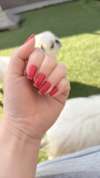 ネイル B.rose ビビのネイルデザイン