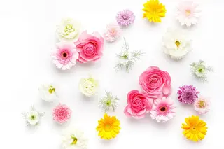 ネイル 芦屋ネイル /アンドルーチェのネイルデザイン