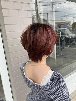 ショート カラー 星野 美沙のヘアスタイル