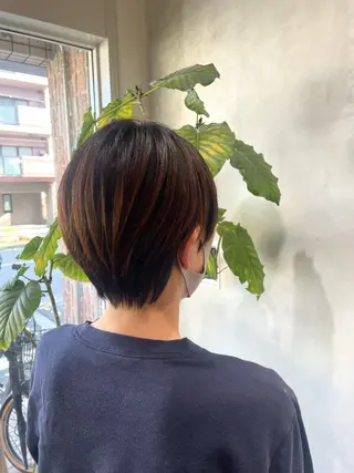 ショート レイヤーカット 🌿 濱野玲奈のヘアスタイル