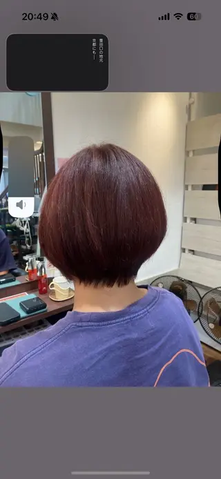 ショート MOLLA ✂️辻桃加のヘアスタイル