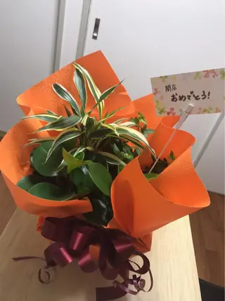 fairyrose organicエステのエステ・リラクイメージ