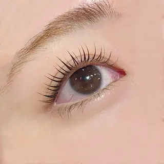 マツエク・マツパ gioia 根津のマツエク・マツパデザイン