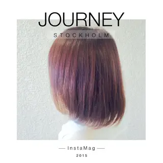 ミディアム セミロング カラー Lyhair🦊🎀 AKIのヘアスタイル