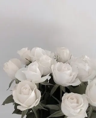 アイブロウ PORTE269🦋 Maika.のマツエク・マツパデザイン