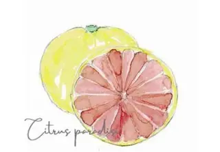 香りの家ローズマリー 🌿アロマリンパのエステ・リラクイメージ