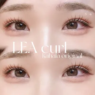 マツエク・マツパ Fujimoto 🦭⸝⋆꙳のマツエク・マツパデザイン