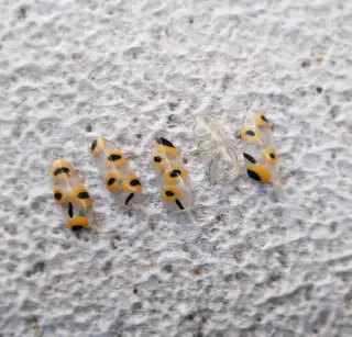 ネイル lylynail YUUKAのネイルデザイン