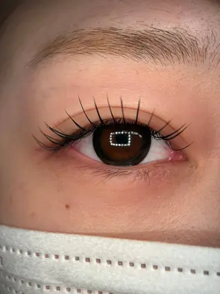 マツエク・マツパ Lushana 眉毛/まつ毛の眉毛・アイブロウイメージ