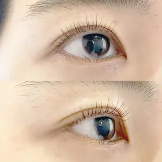 マツエク・マツパ eyelash "Koa"🕊🤎のマツエク・マツパデザイン