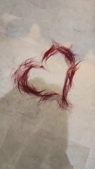 ケアブリーチ特化 same 🦈のヘアスタイル