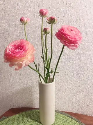 salon salinaのエステ・リラクイメージ