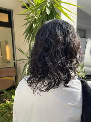 ミディアム パーマ 丸みショート/メンズ カット　佐々木真未のヘアスタイル