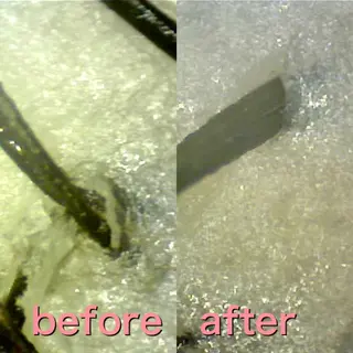 ショート Ukezono Kodaiのヘアスタイル