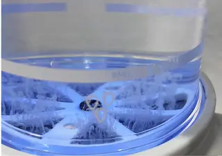 TRINIENCE 南流山店のエステ・リラクイメージ