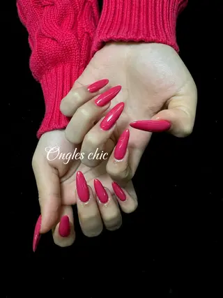 ネイル ongles chicのネイルデザイン