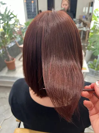 ミディアム 🌷ショートレイヤー ヘッドスパ🌷鈴木のヘアスタイル