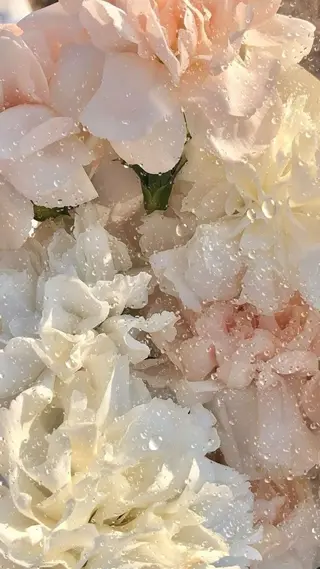 🦋 Natsumiのマツエク・マツパデザイン