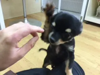 カラー マツエク・マツパ mayury salonのエステ・リラクイメージ