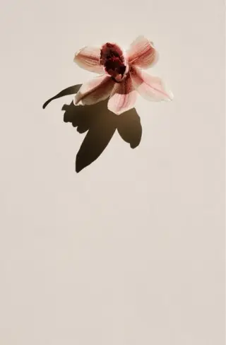 高畑 恵莉 👒 暖色 / 艶髪 🧺のヘアスタイル