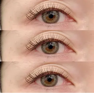 マツエク・マツパ まつ毛パーマelua 🌈のマツエク・マツパデザイン