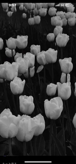 Mana ·͜·ᰔᩚのマツエク・マツパデザイン