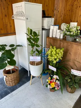 紙屋 隼人のヘアスタイル