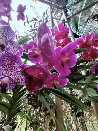 Yakkao Tha i Massage.のエステ・リラクイメージ