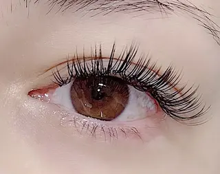 マツエク・マツパ OYAYUBIHIME 心斎橋店所属・oyayubi hime心斎橋店のマツエク・マツパデザイン