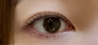 マツエク・マツパ Carrefour Noa🕊️上野店の眉毛・アイブロウイメージ