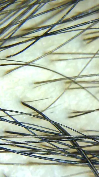 セントラル鍼灸院 Re:laxyのヘアスタイル