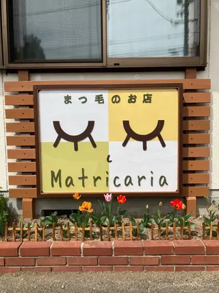 マツエク・マツパ まつ毛のお店 Matricariaのマツエク・マツパデザイン