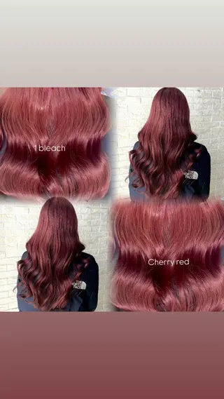 ロング ダブルカラー/艶髪 🪽minoriのヘアスタイル