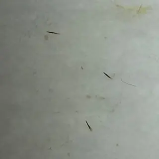 毛穴ケア専門店 Cynthiaのエステ・リラクイメージ