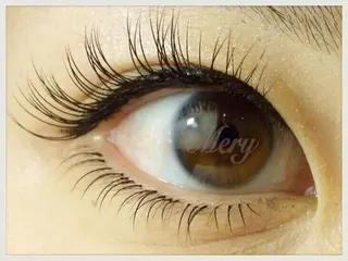 マツエク・マツパ eyelash Meryのマツエク・マツパデザイン