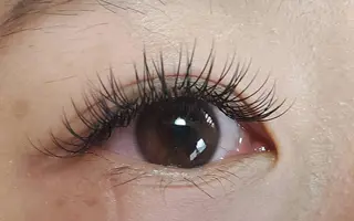 マツエク・マツパ 青木 寿恵のマツエク・マツパデザイン