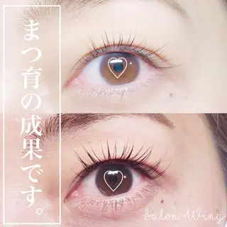 マツエク・マツパ wing rinaのマツエク・マツパデザイン