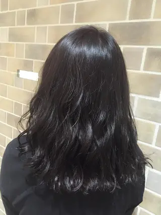 ミディアム カラー 新中 茉莉香の眉毛・アイブロウイメージ