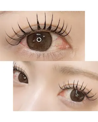 ãããšã¯ã»ããã ððŠð® .ã®ãããšã¯ã»ããããã¶ã€ã³