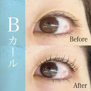 マツエク・マツパ まつげパーマ専門店 シャルナ　上野店のマツエク・マツパデザイン