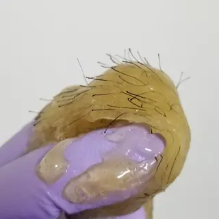 マツエク・マツパ ネイル キッズ メンズ ヘアアレンジ パーマ カラー ミディアム A*《エースター》 シュガーリング🍋のエステ・リラクイメージ